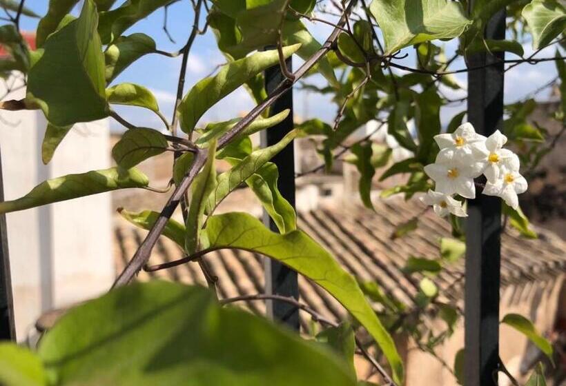 اتاق لوکس با چشم‌انداز, Círculo Artístico 1911 Hotel Boutique