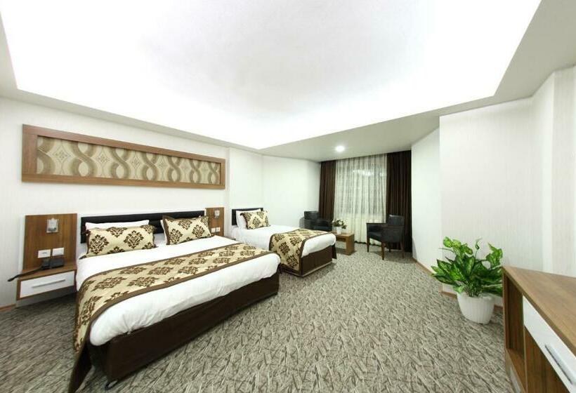 标准间, Afyon Grand Ari