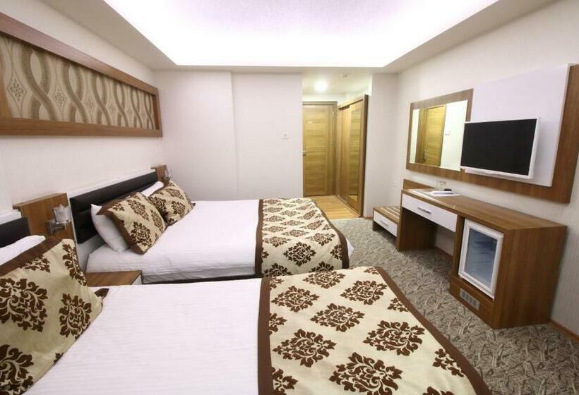 标准间, Afyon Grand Ari