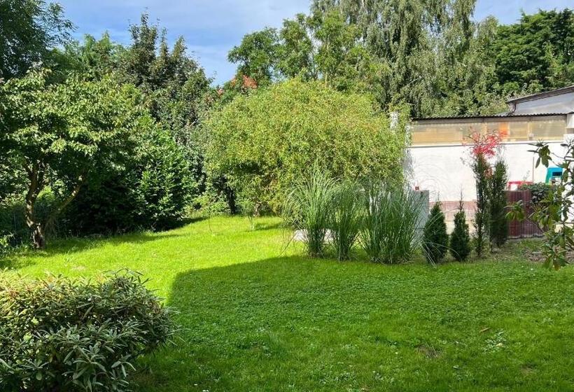 Апартаменты 1 Спальня с Террасой, Aparthotel Leuchtfeuer Rügen