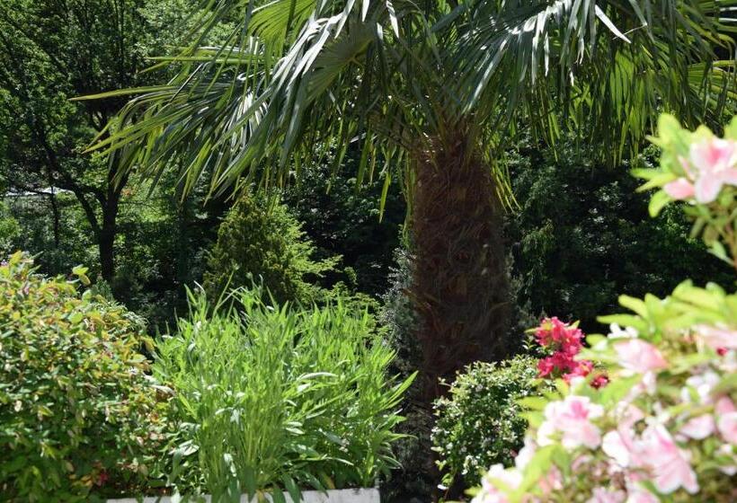 آپارتمان خانوادگی, Garni Villa Siesta Park