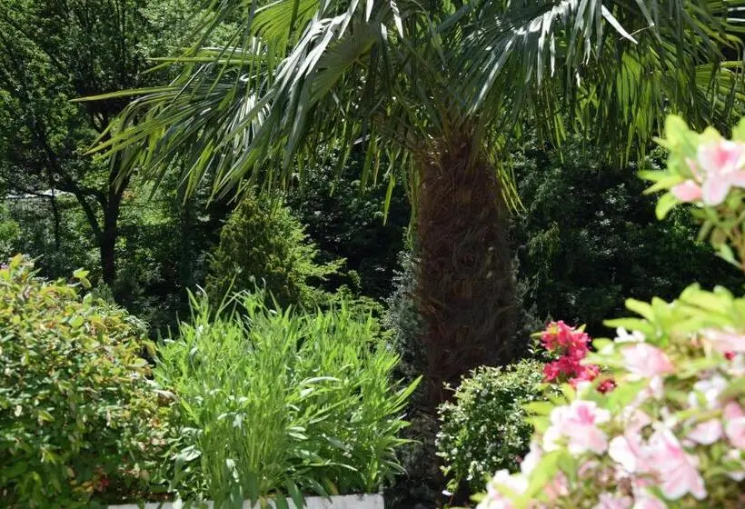 家族用アパートメント, Garni Villa Siesta Park