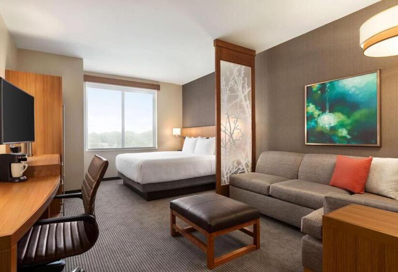 Стандартный Номер Кровать Кинг, Hyatt Place Virginia Beach Town Center