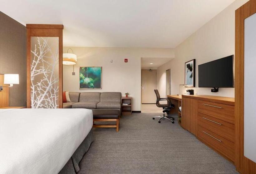 Стандартный Номер Кровать Кинг, Hyatt Place Virginia Beach Town Center