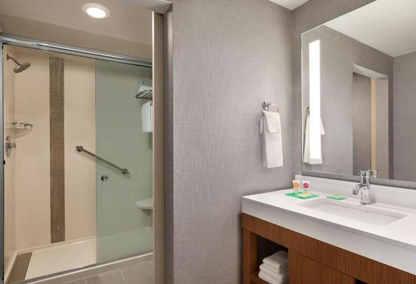 Номер Стандарт 2 Двуспальные Кровати, Hyatt Place Virginia Beach Town Center
