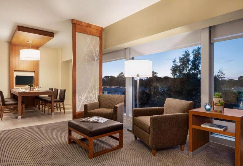 Люкс Кровать Кинг, Hyatt Place Virginia Beach Town Center