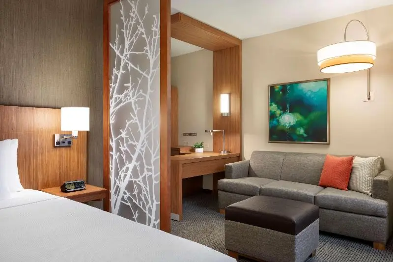 キングサイズベッドのスタンダードルーム, Hyatt Place Virginia Beach Town Center