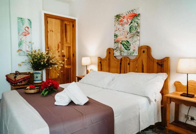 Номер Стандарт, Rojas