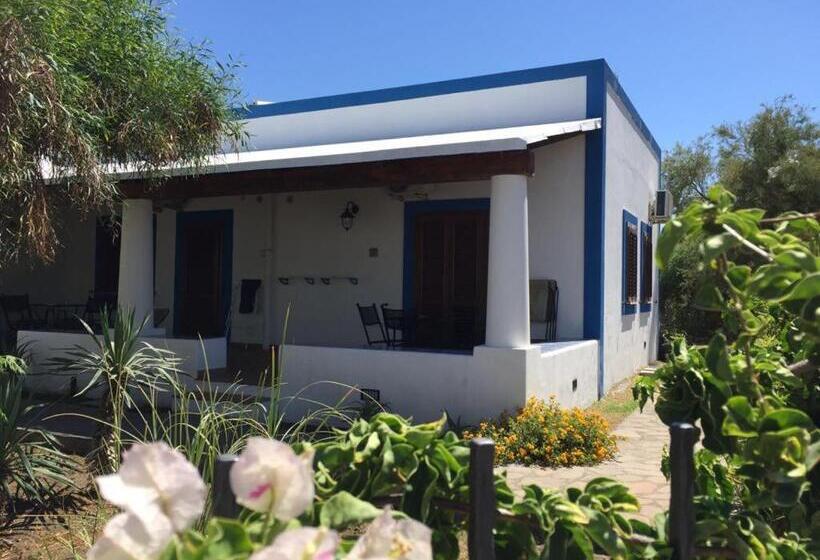 Номер Стандарт, Rojas