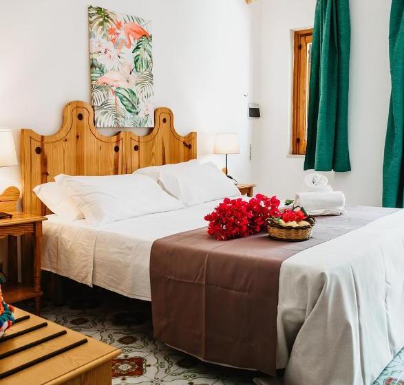 Номер Стандарт, Rojas