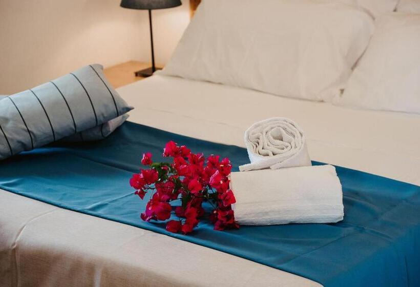 Номер Стандарт, Rojas