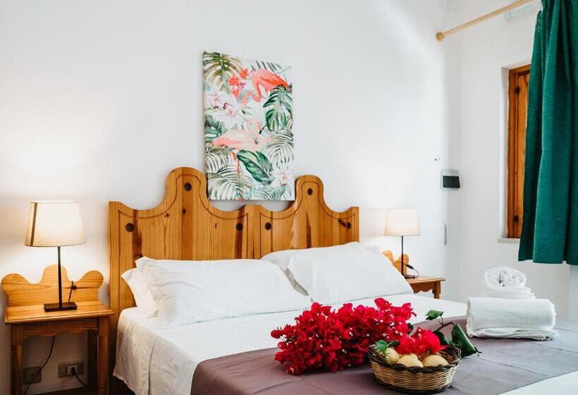 Номер Стандарт, Rojas