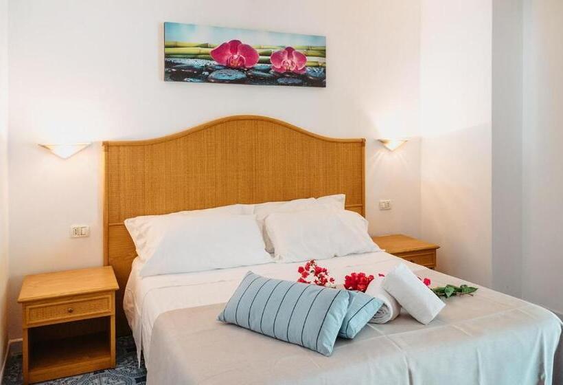 Номер Стандарт, Rojas