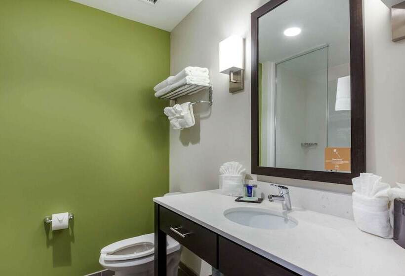 חדר סטנדרט שתי מיטות זוגיות, Sleep Inn & Suites Tampa South