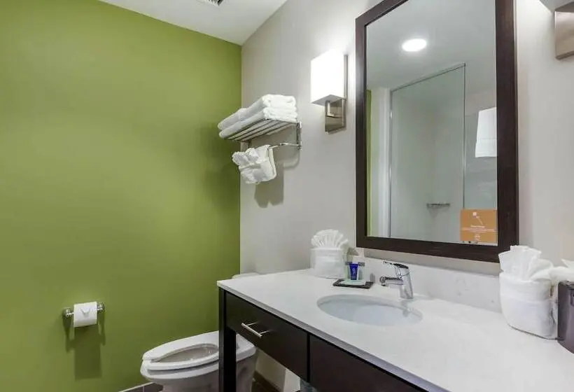 ２ダブルベッドのスタンダードルーム, Sleep Inn & Suites Tampa South