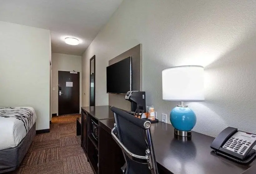 ２ダブルベッドのスタンダードルーム, Sleep Inn & Suites Tampa South
