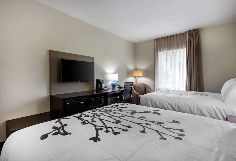 חדר סטנדרט שתי מיטות זוגיות, Sleep Inn & Suites Tampa South