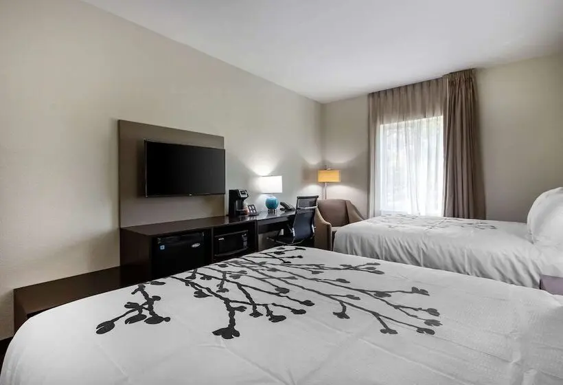 ２ダブルベッドのスタンダードルーム, Sleep Inn & Suites Tampa South