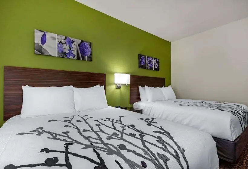 ２ダブルベッドのスタンダードルーム, Sleep Inn & Suites Tampa South