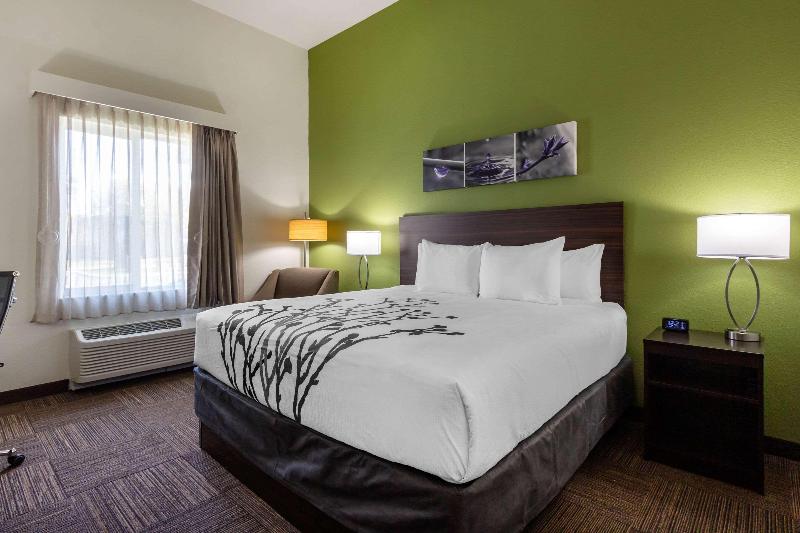 Стандартный Номер Кровать Кинг, Sleep Inn & Suites Tampa South