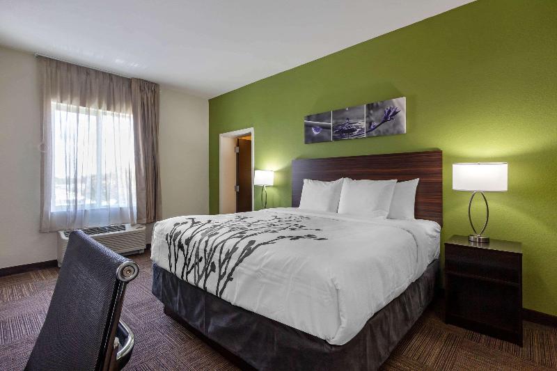 מיטת קינג בסוויטה, Sleep Inn & Suites Tampa South