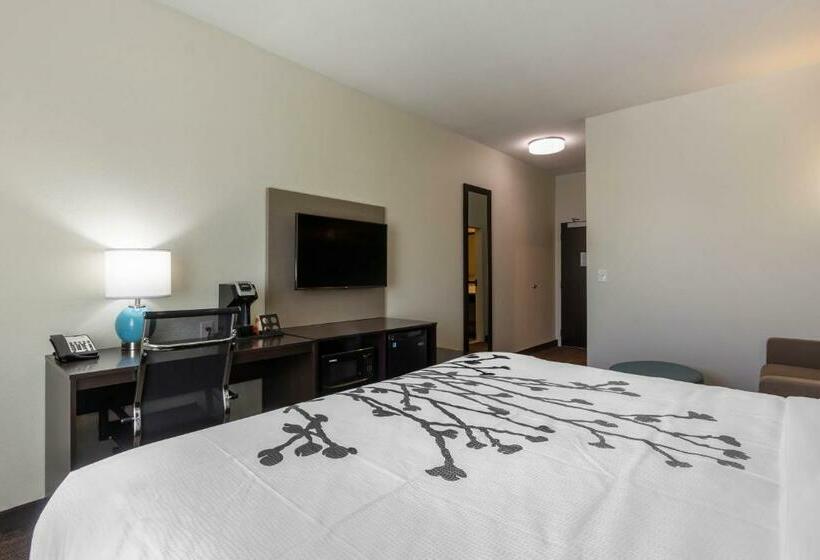 Стандартный Номер Кровать Кинг, Sleep Inn & Suites Tampa South
