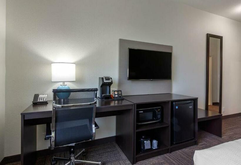 חדר סטנדרט עם מיטת קינג, Sleep Inn & Suites Tampa South