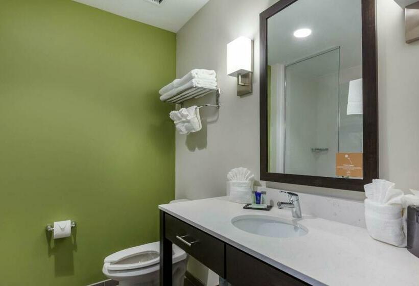 חדר סטנדרט עם מיטת קינג, Sleep Inn & Suites Tampa South