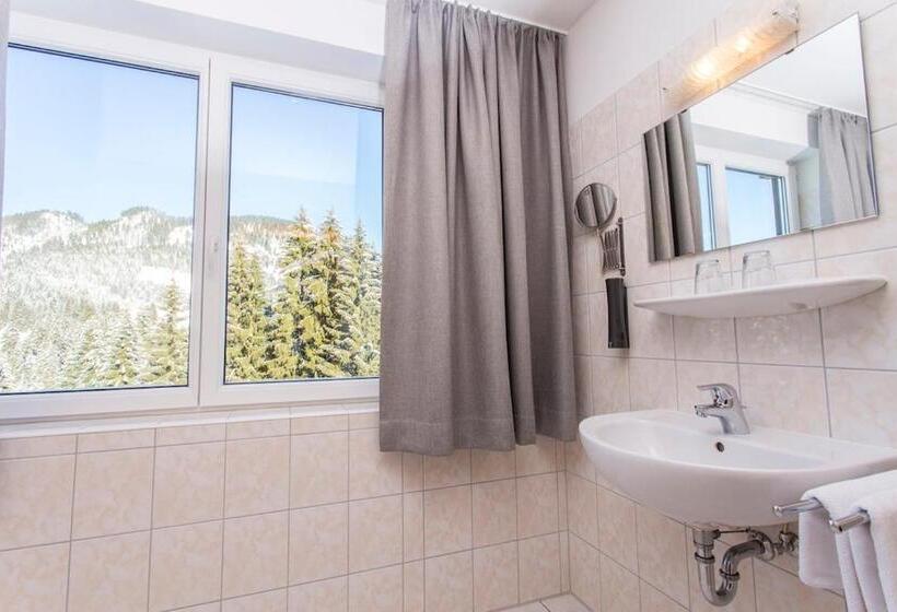 バルコニー付きスタンダードルーム, Alpengasthof Hörnlepass