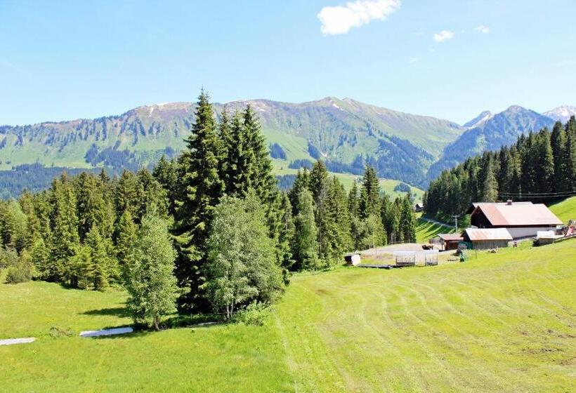 スタンダードルーム, Alpengasthof Hörnlepass