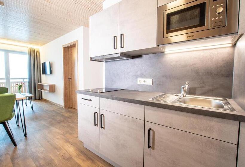 １ベッドルームアパートメント, Alpengasthof Hörnlepass