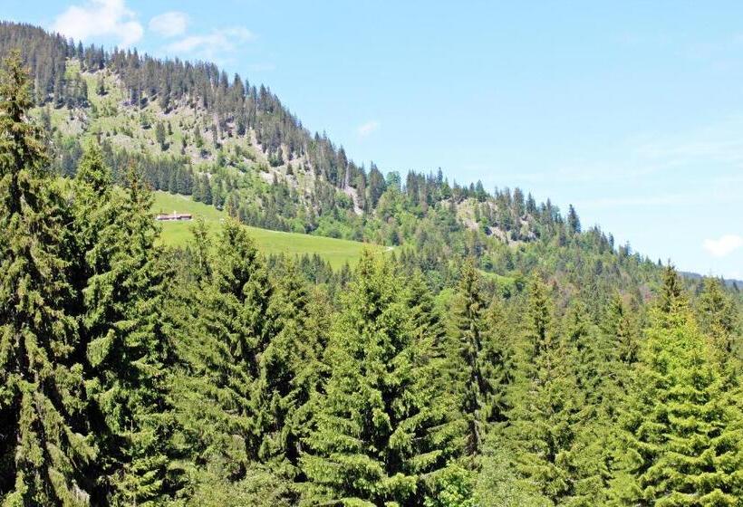 スタンダードルーム, Alpengasthof Hörnlepass