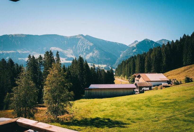 １ベッドルームアパートメント, Alpengasthof Hörnlepass