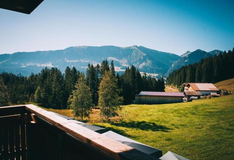 １ベッドルームアパートメント, Alpengasthof Hörnlepass