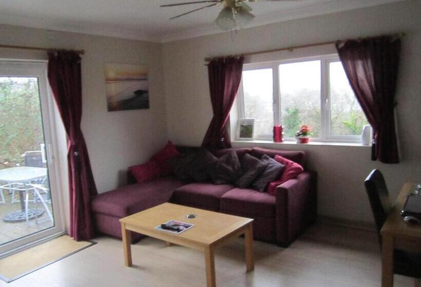 شقة غرفة واحدة, Cwmbach Guest House