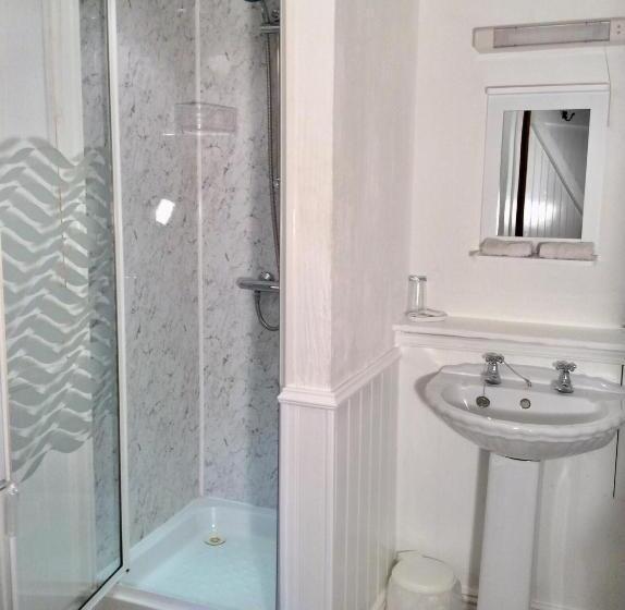 شقة غرفة واحدة, Cwmbach Guest House