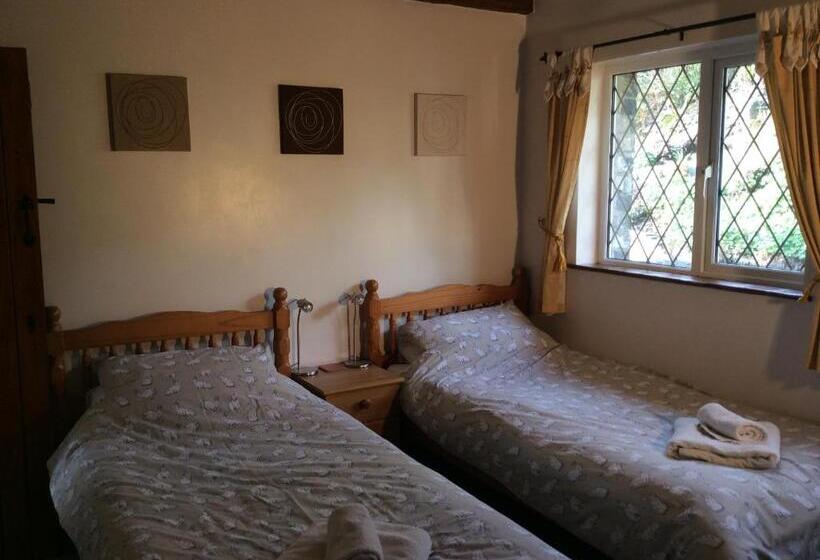 شقة غرفة واحدة, Cwmbach Guest House