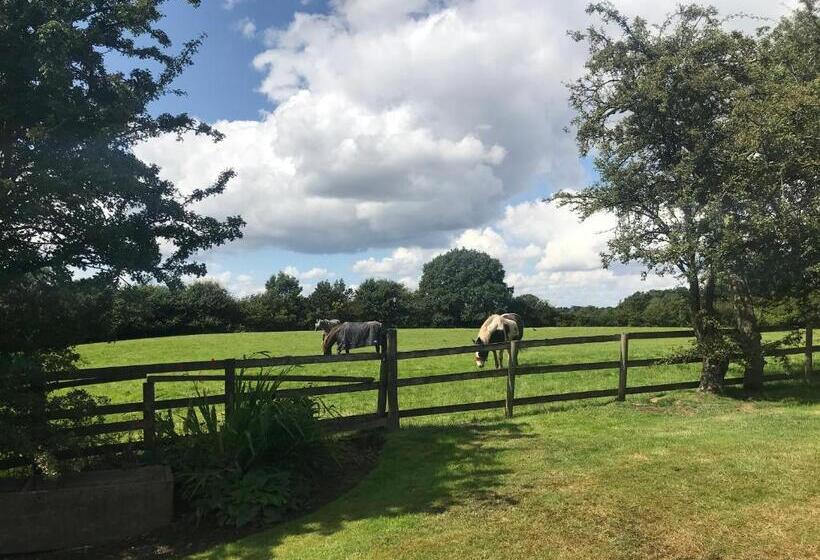 Номер Deluxe, Rylands Farmhouse