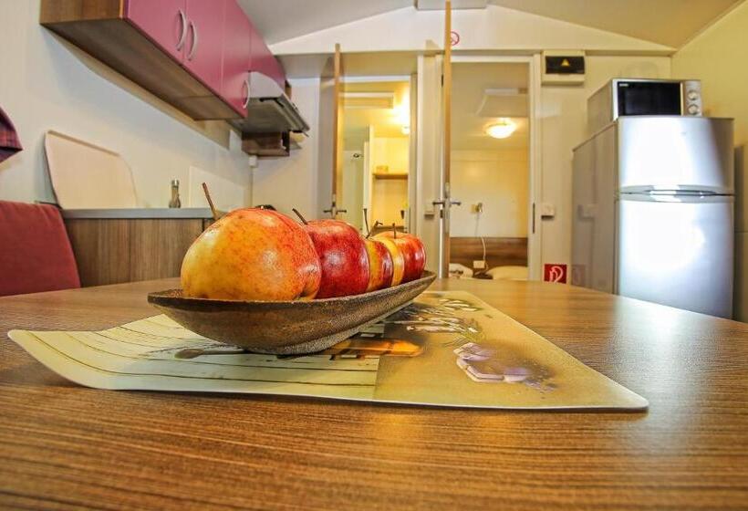 Дом 1 Спальня, Villa Betula Resort & Camping