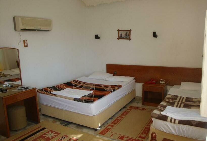 اتاق استاندارد سه نفره, Anadolu