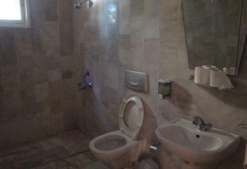 اتاق استاندارد سه نفره, Anadolu
