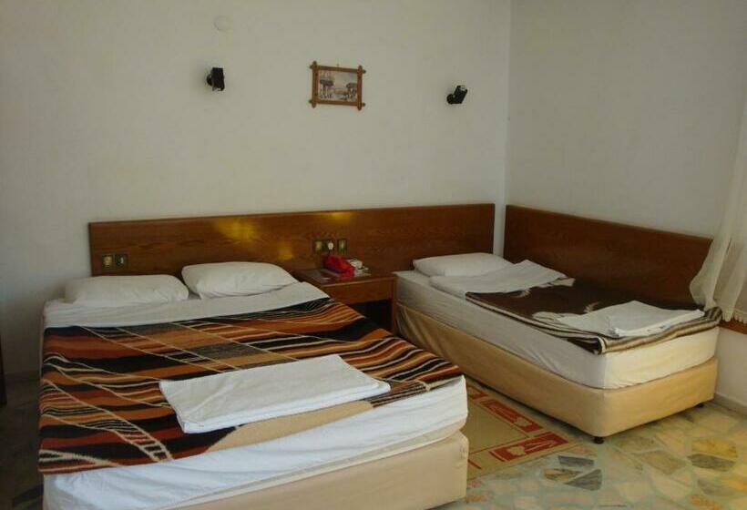 اتاق استاندارد چهار تخته, Anadolu