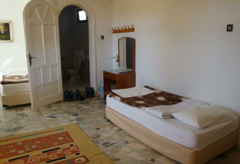 اتاق استاندارد چهار تخته, Anadolu