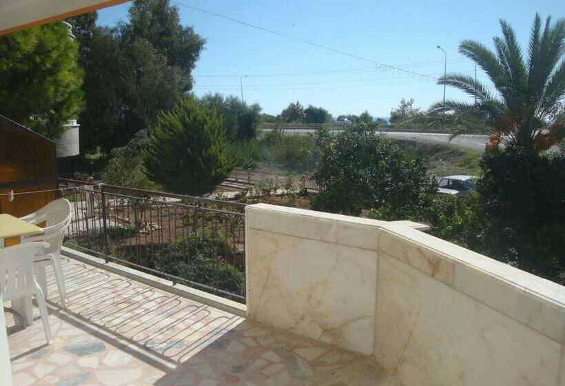 اتاق استاندارد چهار تخته, Anadolu