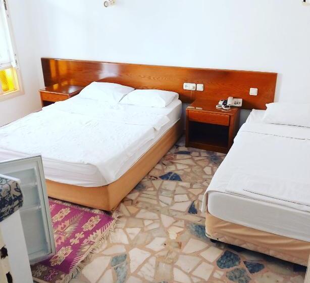 اتاق استاندارد سه نفره, Anadolu
