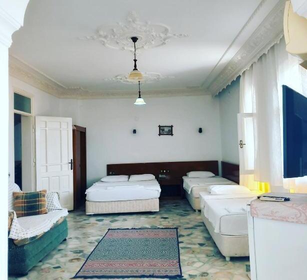 اتاق استاندارد چهار تخته, Anadolu