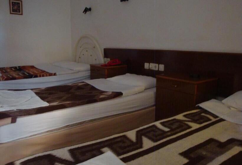 اتاق استاندارد چهار تخته, Anadolu