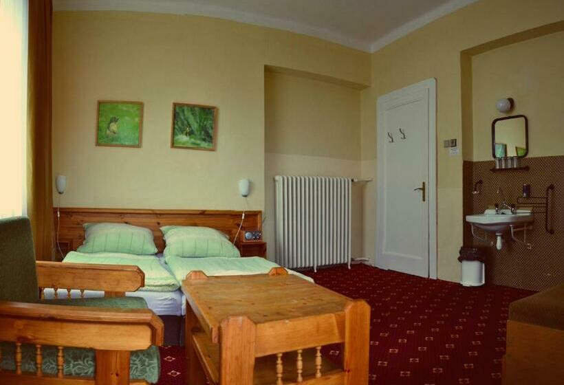 غرفة قياسية, Penzion Partizan