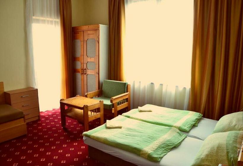 غرفة قياسية, Penzion Partizan