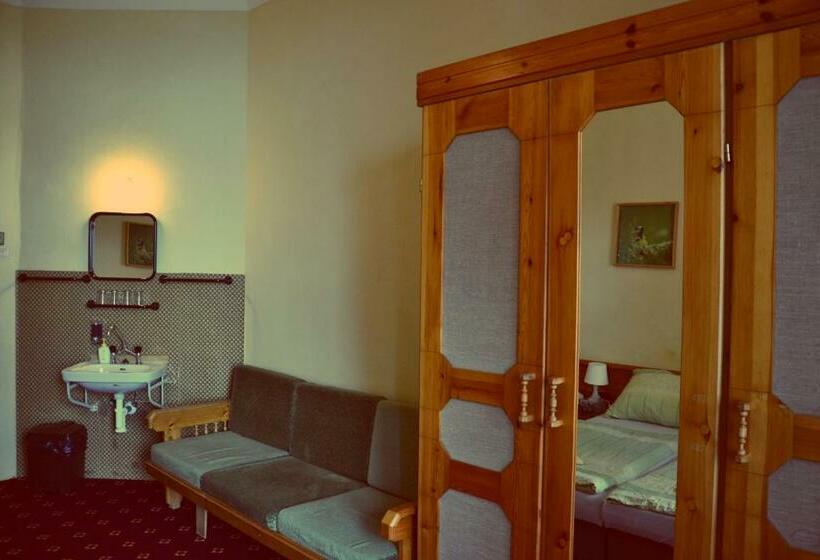 غرفة قياسية, Penzion Partizan